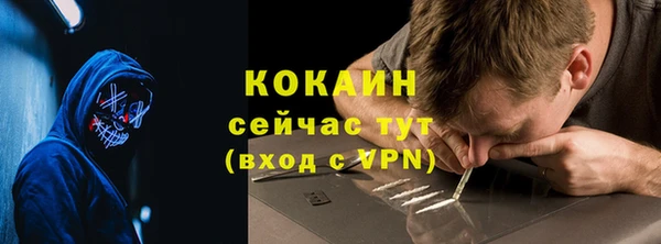 кокс Бородино