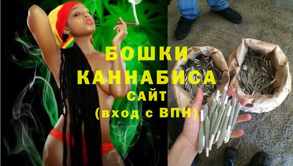 PSILOCYBIN Пересвет