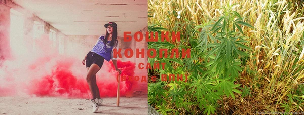 PSILOCYBIN Вязники