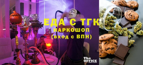 молекула духа Вяземский