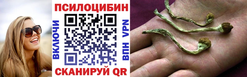 Псилоцибиновые грибы Psilocybe  Вилючинск 