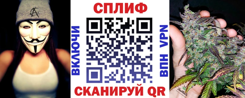 blacksprut ссылки  Вилючинск  Шишки марихуана THC 21% 